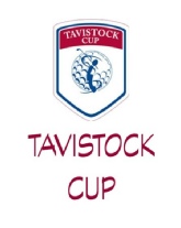 TAVISTOCK CUP